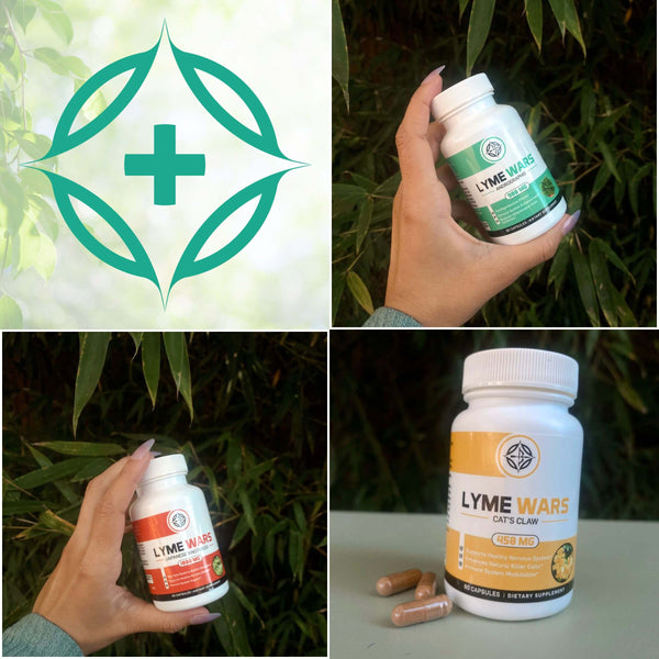 Lyme Wars herbal supplement bottles including Andrographis, Cat’s Claw, and Japanese Knotweed shown in nature with capsules and Lyme Wars logo