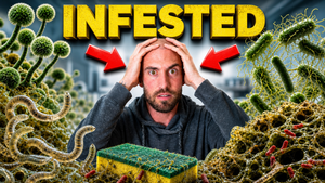 Why More Lyme Research Might Be Slowing Your Recovery