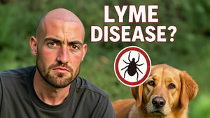 Can Dogs Get Lyme Disease? Symptoms, Prevention, and Treatment Every Pet Owner Should Know