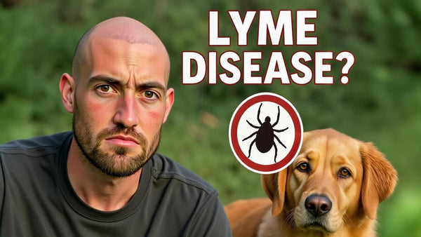Can Dogs Get Lyme Disease? Symptoms, Prevention, and Treatment Every Pet Owner Should Know