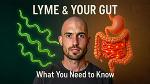 The Lyme–Gut Connection: How Lyme Disease Disrupts Digestion and How to Support Healing