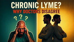 Is Chronic Lyme Disease Real? Understanding the Debate in Plain, Human Language