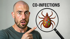 It’s Not Just Lyme: The Co-Infections Behind the Symptoms No One Warned You About