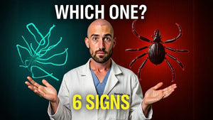 Lyme Relapse vs. Reinfection: 6 Signs That Help You Tell the Difference