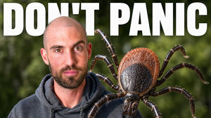 tick bite lyme disease ryan kearns