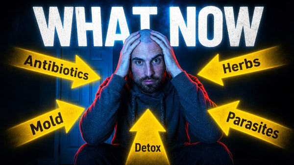 How Do You Know What To Do Next In Lyme Recovery?