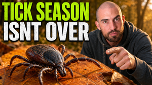 Tick Bites Are Surging in 2026 — And Fall Could Make It Worse