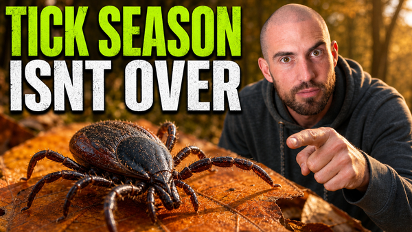 Tick Bites Are Surging in 2026 — And Fall Could Make It Worse
