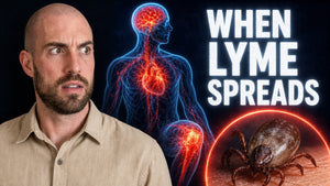 What Happens If Lyme Disease Goes Untreated?