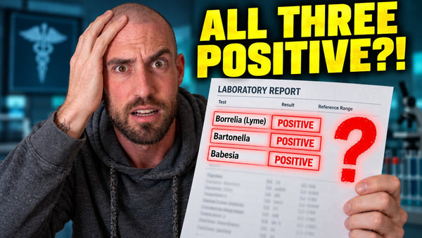 Lyme disease test results showing Borrelia, Bartonella and Babesia co-infections