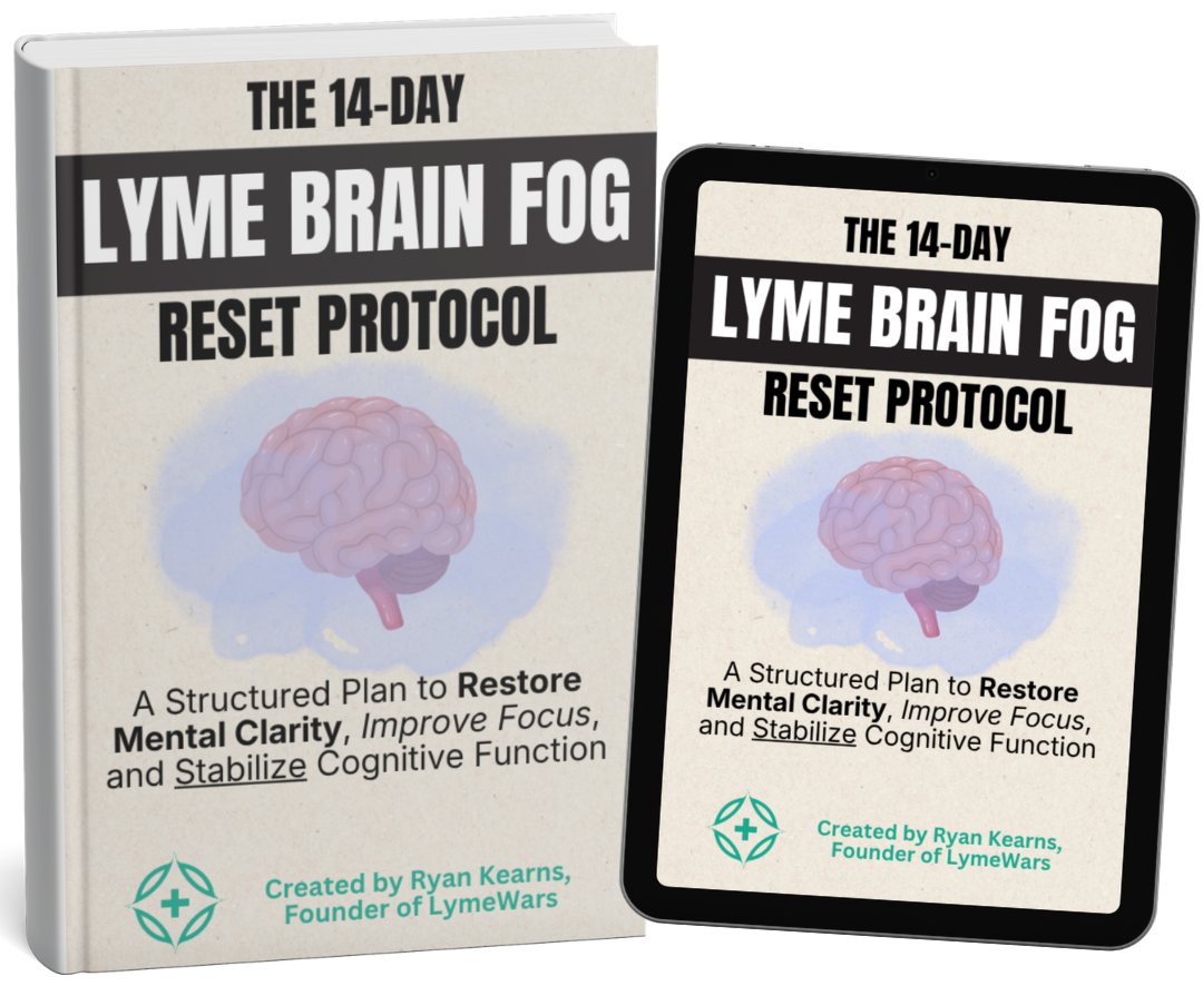 Lyme Brain Fog Reset Guide – LymeWars