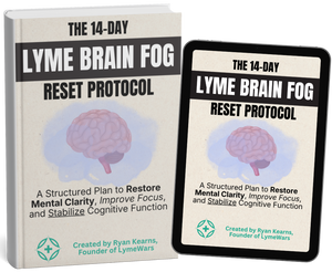 Book and digital version of 'The 14-Day Lyme Brain Fog Reset Protocol'